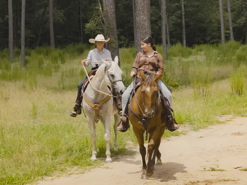 Two riders on a white horse and a chestnut horse walk a sandy trail through tall grass and pines