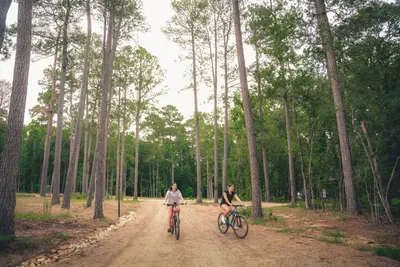 Biking at Coyote, Lost Forest Cabins