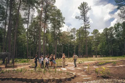 Garden Beds at Mullein, Lost Forest Cabins