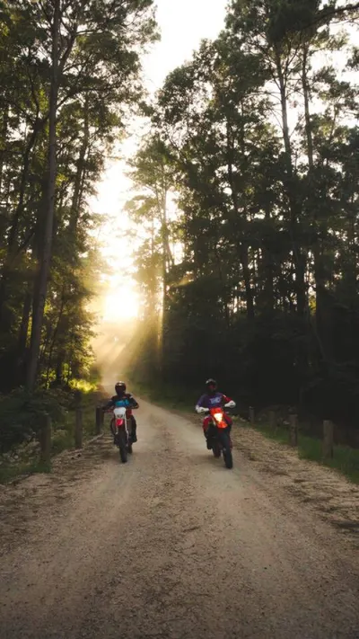 Motos at Passionflower, Lost Forest Cabins