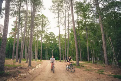Biking at Passionflower, Lost Forest Cabins