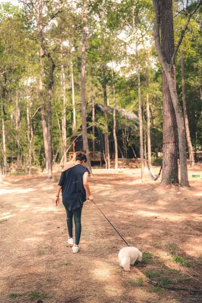 Dogs at Passionflower, Lost Forest Cabins