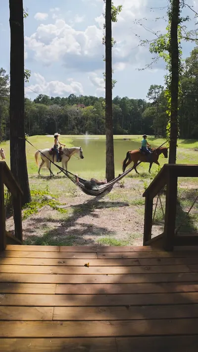 Horses at Woodpecker, Lost Forest Cabins